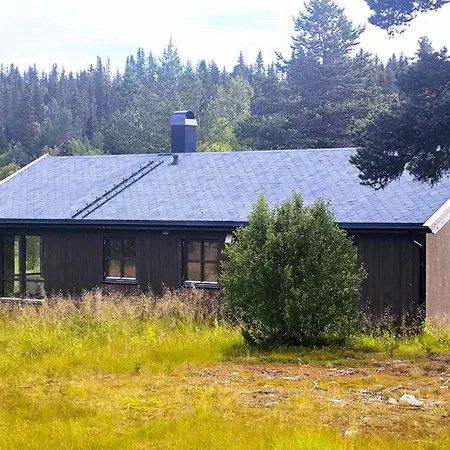 Mountain - Friisvegen Masaplassen Ringebu