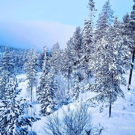 Mountain - Friisvegen Masaplassen * リンゲブ
