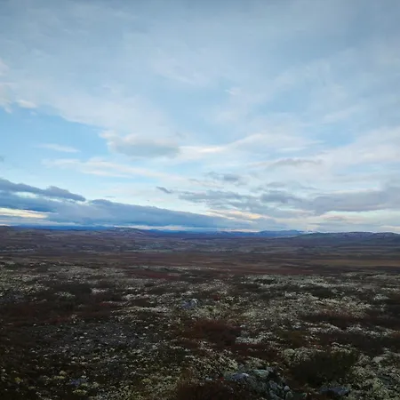 Mountain - Friisvegen Masaplassen